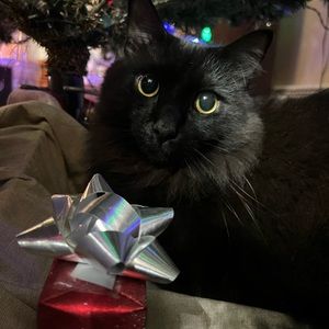 Meet your Posher, Izabella